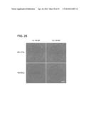 CHEMICALLY-DEFINED ARRAYS FOR SCREENING CELL-SUBSTRATE INTERACTIONS diagram and image