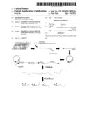 Methods of Making Oligonucleotide Probes diagram and image