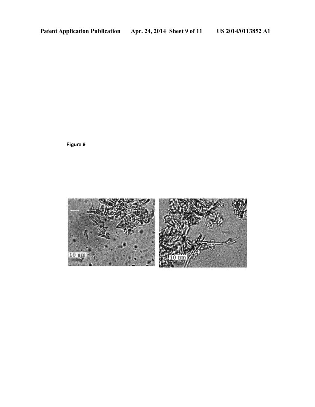 METHOD FOR PRODUCTION OF AN EMULSION - diagram, schematic, and image 10