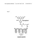 Modification of Peptides via SNAr Reactions of Thiols with Fluorinated     Aromatics diagram and image