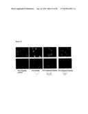 Modification of Peptides via SNAr Reactions of Thiols with Fluorinated     Aromatics diagram and image