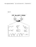 Modification of Peptides via SNAr Reactions of Thiols with Fluorinated     Aromatics diagram and image