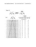 Modification of Peptides via SNAr Reactions of Thiols with Fluorinated     Aromatics diagram and image