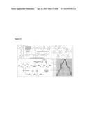 Modification of Peptides via SNAr Reactions of Thiols with Fluorinated     Aromatics diagram and image