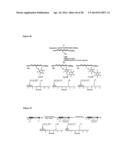 Modification of Peptides via SNAr Reactions of Thiols with Fluorinated     Aromatics diagram and image