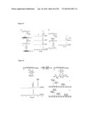 Modification of Peptides via SNAr Reactions of Thiols with Fluorinated     Aromatics diagram and image