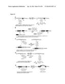 Modification of Peptides via SNAr Reactions of Thiols with Fluorinated     Aromatics diagram and image