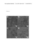 NOVEL SELF-ASSEMBLING DRUG AMPHIPHILES AND METHODS FOR SYNTHESIS AND USE diagram and image