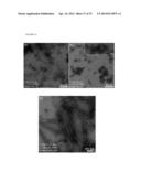 NOVEL SELF-ASSEMBLING DRUG AMPHIPHILES AND METHODS FOR SYNTHESIS AND USE diagram and image