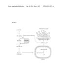 BIOMARKERS FOR ASSESSING TREATMENT OF SIALIC ACID DEFICIENCY DISEASES AND     CONDITIONS diagram and image