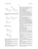 LACTAM-CONTAINING COMPOUNDS AND DERIVATIVES THEREOF AS FACTOR XA     INHIBITORS diagram and image