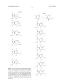 LACTAM-CONTAINING COMPOUNDS AND DERIVATIVES THEREOF AS FACTOR XA     INHIBITORS diagram and image