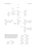 LACTAM-CONTAINING COMPOUNDS AND DERIVATIVES THEREOF AS FACTOR XA     INHIBITORS diagram and image