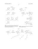 LACTAM-CONTAINING COMPOUNDS AND DERIVATIVES THEREOF AS FACTOR XA     INHIBITORS diagram and image