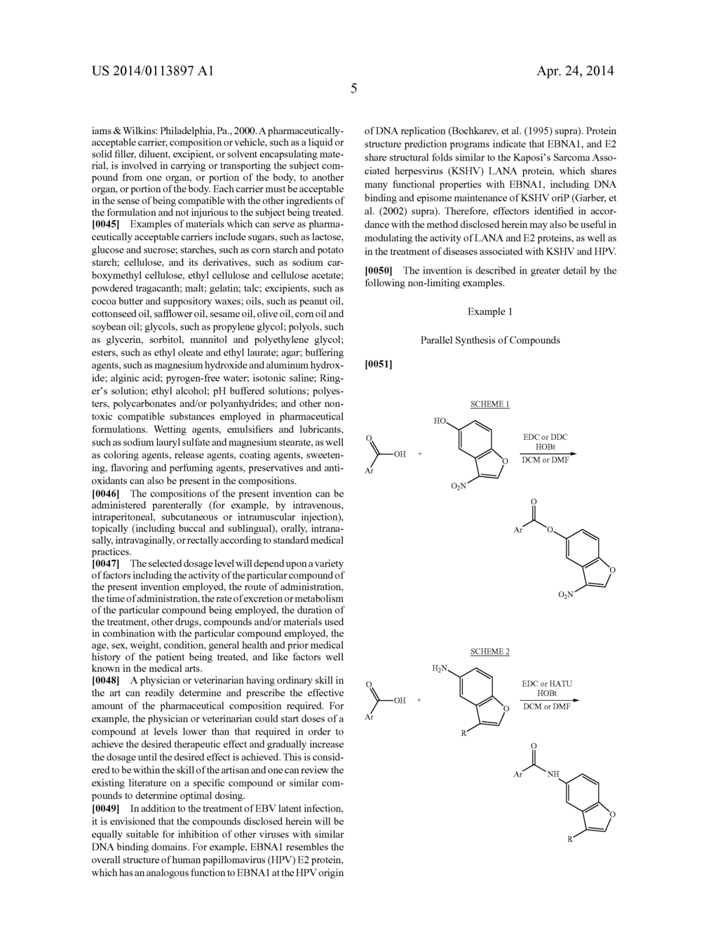 COMPOSITIONS AND METHODS FOR MODULATING THE ACTIVITY OF EPSTEIN-BARR     NUCLEAR ANTIGEN 1 - diagram, schematic, and image 06