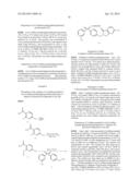 BISARYLSULFONE AND DIALKYLARYLSULFONE COMPOUNDS AS CALCIUM CHANNEL     BLOCKERS diagram and image