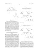 BISARYLSULFONE AND DIALKYLARYLSULFONE COMPOUNDS AS CALCIUM CHANNEL     BLOCKERS diagram and image