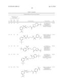 BISARYLSULFONE AND DIALKYLARYLSULFONE COMPOUNDS AS CALCIUM CHANNEL     BLOCKERS diagram and image