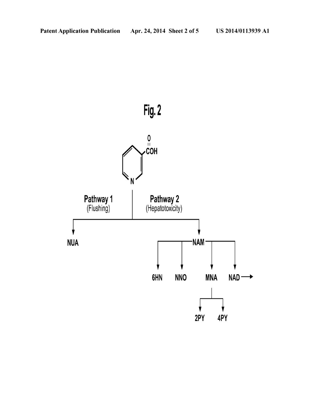 METHODS FOR TREATING HYPERLIPIDEMIA WITH INTERMEDIATE RELEASE NICOTINIC     ACID COMPOSITIONS HAVING UNIQUE BIOPHARMACEUTICAL CHARACTERISTICS - diagram, schematic, and image 03