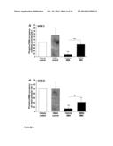 ERK INHIBITORS FOR USE IN TREATING SPINAL MUSCULAR ATROPHY diagram and image