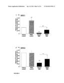 ERK INHIBITORS FOR USE IN TREATING SPINAL MUSCULAR ATROPHY diagram and image