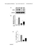 ERK INHIBITORS FOR USE IN TREATING SPINAL MUSCULAR ATROPHY diagram and image