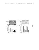 ERK INHIBITORS FOR USE IN TREATING SPINAL MUSCULAR ATROPHY diagram and image