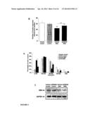 ERK INHIBITORS FOR USE IN TREATING SPINAL MUSCULAR ATROPHY diagram and image