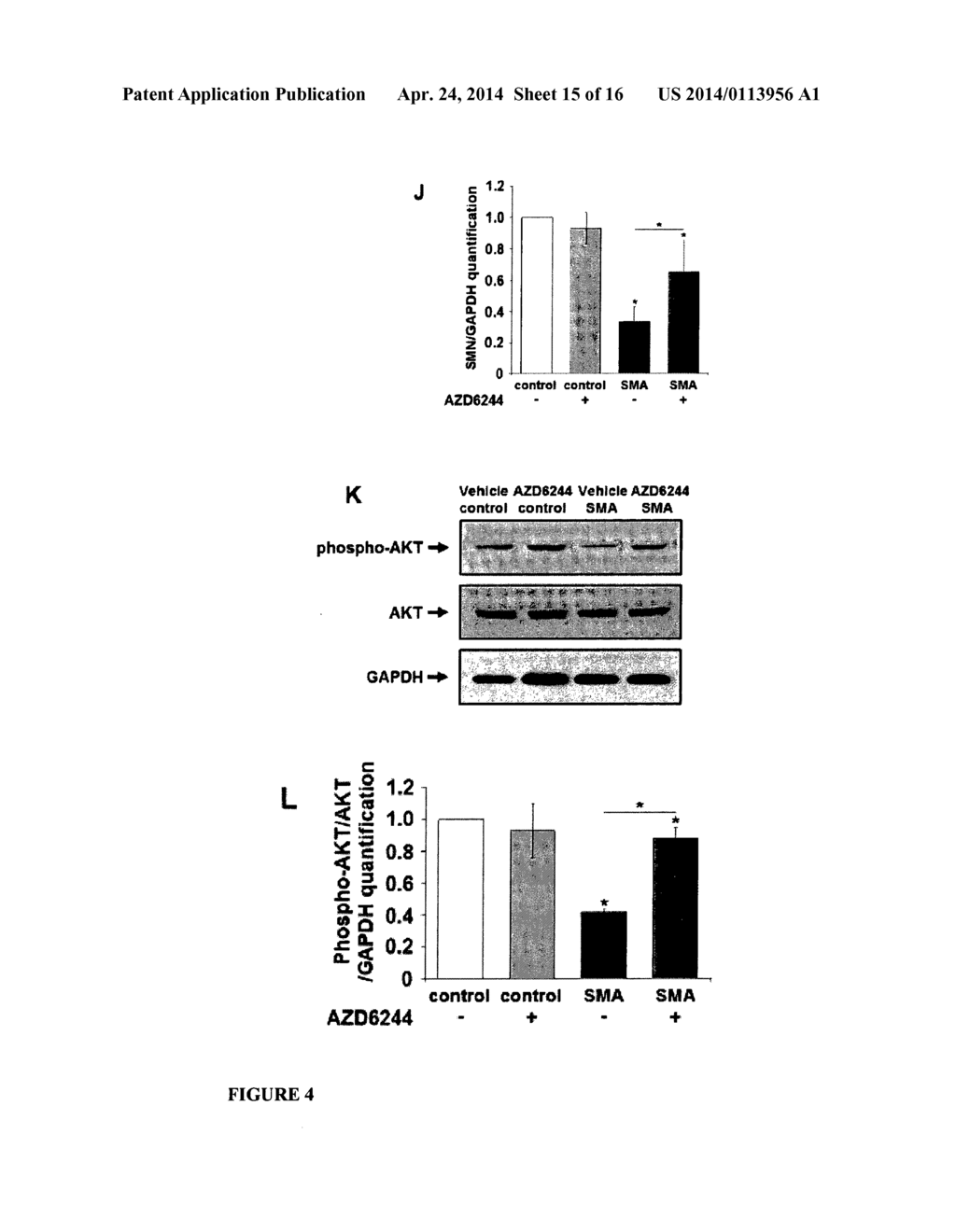 ERK INHIBITORS FOR USE IN TREATING SPINAL MUSCULAR ATROPHY - diagram, schematic, and image 16