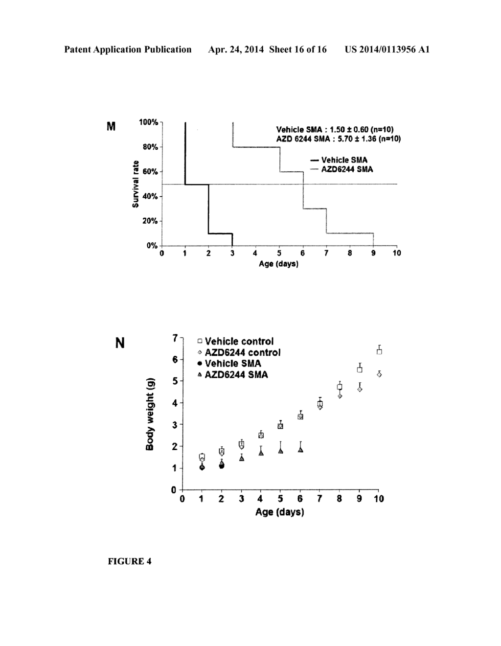 ERK INHIBITORS FOR USE IN TREATING SPINAL MUSCULAR ATROPHY - diagram, schematic, and image 17