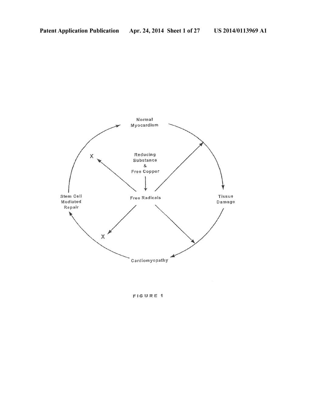 Preventing And/Or Treating Cardiovascular Disease And/Or Associated Heart     Failure - diagram, schematic, and image 02