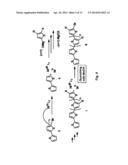 Controlled Radical Polymerization, and Catalysts Useful Therein diagram and image