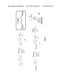 Controlled Radical Polymerization, and Catalysts Useful Therein diagram and image