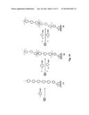 Controlled Radical Polymerization, and Catalysts Useful Therein diagram and image