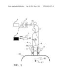 OBJECT INFORMATION ACQUIRING APPARATUS AND PHOTOACOUSTIC PROBE diagram and image