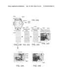 METHOD AND SYSTEM FOR DETECTION OF BIOLOGICAL RHYTHM DISORDERS diagram and image