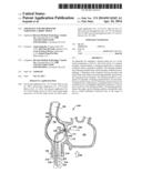 APPARATUS AND METHOD FOR TARGETING A BODY TISSUE diagram and image