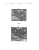 Systems and methods for locating ground and air radio antennae for     ground-to-air and air-to-air communication networks diagram and image