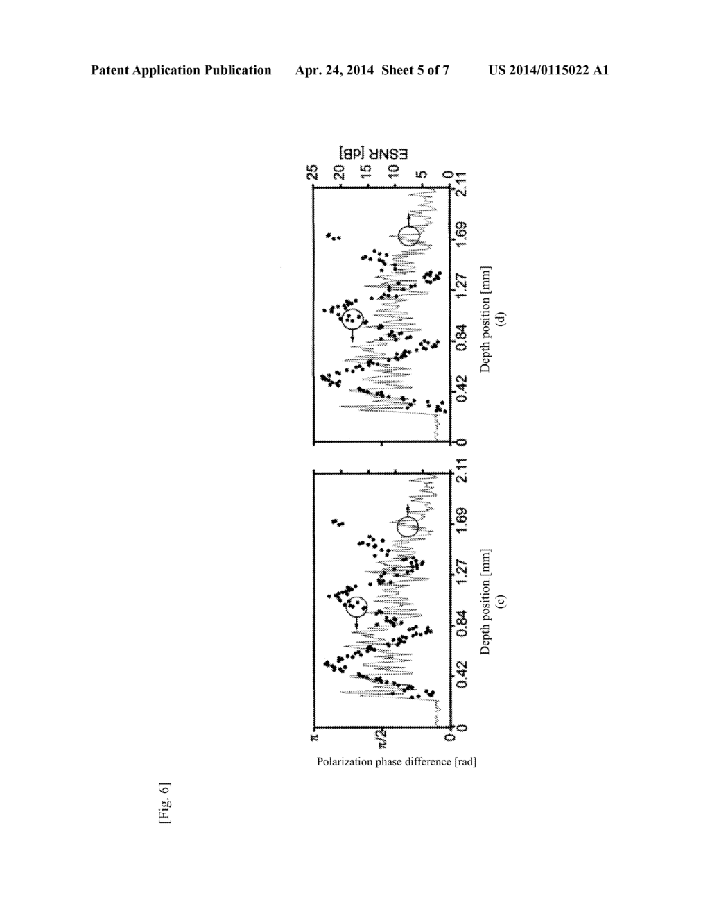 PROGRAM FOR CORRECTING DATA MEASURED BY PS-OCT AND PS-OCT SYSTEM EQUIPPED     WITH THE PROGRAM - diagram, schematic, and image 06