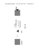 IPA AS A THERAPEUTIC AGENT, AS A PROTECTIVE AGENT, AND AS A BIOMARKER OF     DISEASE RISK diagram and image