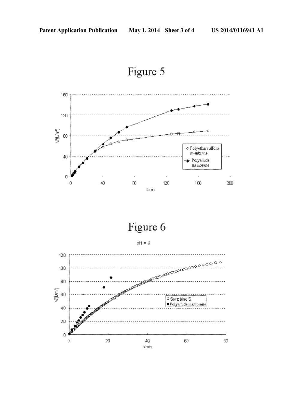 METHOD FOR REMOVING BIOPOLYMER AGGREGATES AND VIRUSES FROM A FLUID - diagram, schematic, and image 04