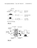 MIXED HYDROPHILIC/HYDROPHOBIC FIBER MEDIA FOR LIQUID-LIQUID COALESCENCE diagram and image