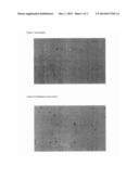 LIQUID-CRYSTALLINE MIXTURES diagram and image