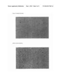 LIQUID-CRYSTALLINE MIXTURES diagram and image