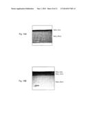 NON-VOLATILE MEMORY ELEMENT AND MANUFACTURING METHOD THEREOF diagram and image