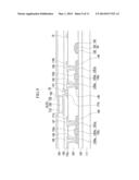 ORGANIC LIGHT EMITTING DIODE DISPLAY, THIN FILM TRANSITOR ARRAY PANEL, AND     METHOD OF MANUFACTURING THE SAME diagram and image