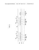 ORGANIC LIGHT EMITTING DIODE DISPLAY, THIN FILM TRANSITOR ARRAY PANEL, AND     METHOD OF MANUFACTURING THE SAME diagram and image