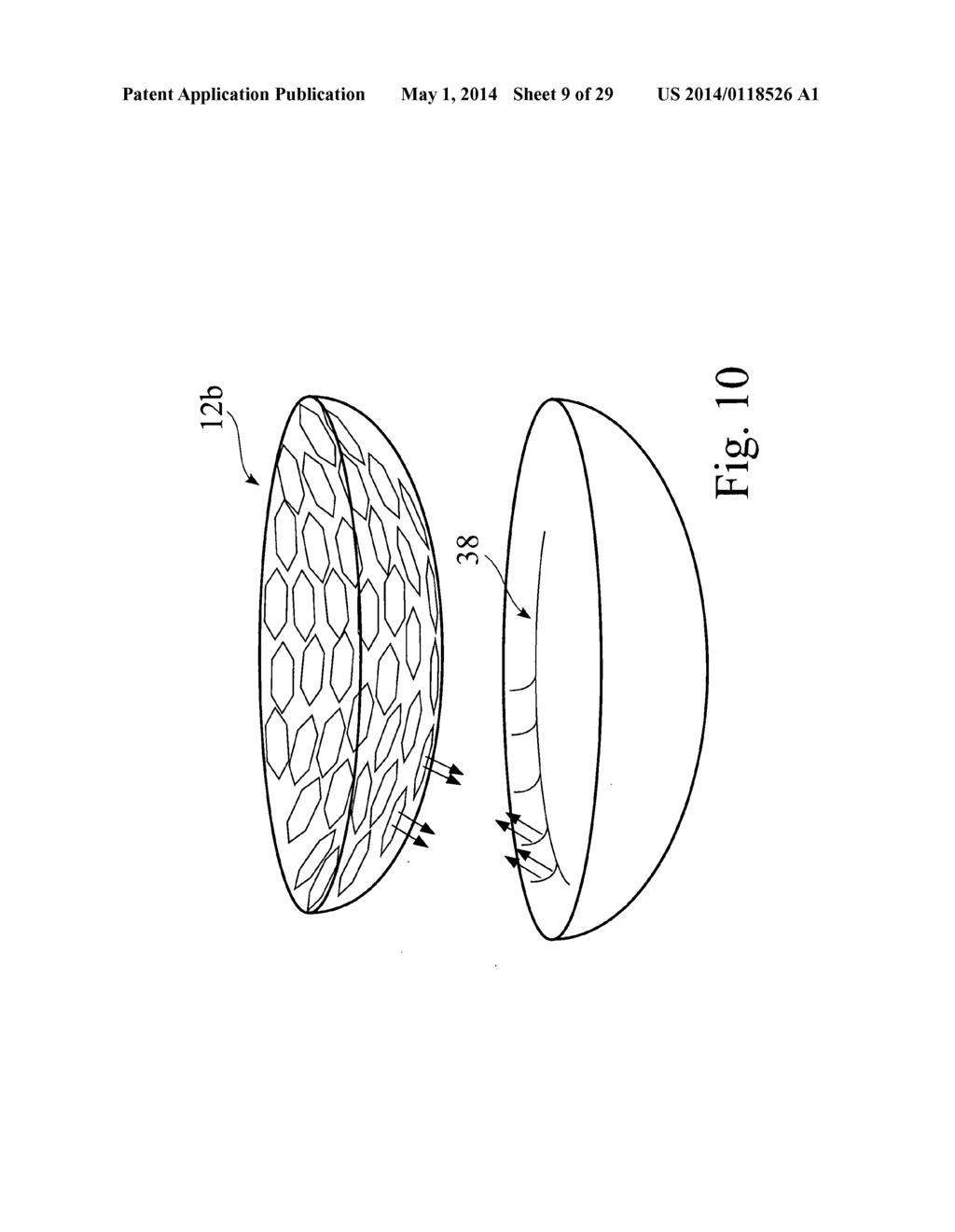 Curvilinear sensor system - diagram, schematic, and image 10