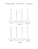 ZOOM LENS AND IMAGE PICKUP APPARATUS diagram and image