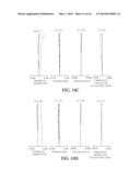 ZOOM LENS AND IMAGE PICKUP APPARATUS diagram and image